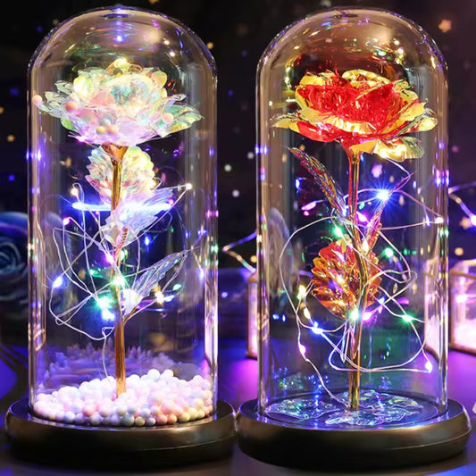  rosa eterna sotto campana di vetro con luce LED - vista frontale