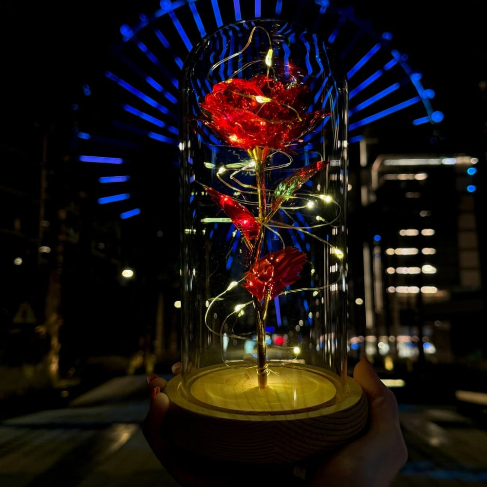  campana di vetro elegante con base in legno e rosa eterna