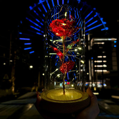  campana di vetro elegante con base in legno e rosa eterna